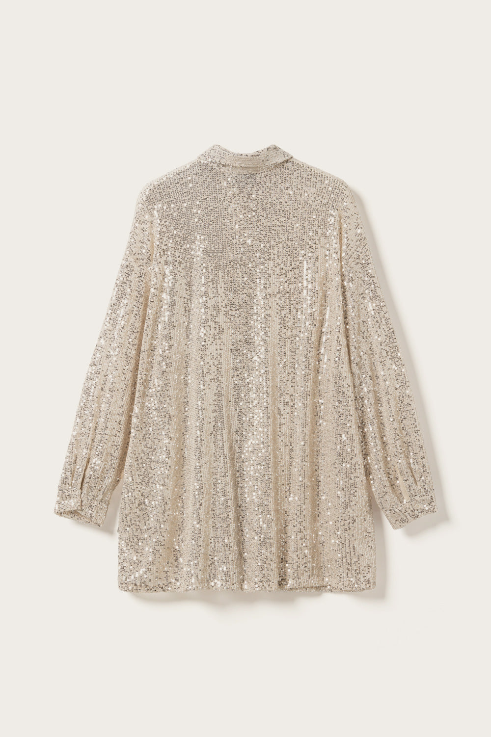 Lizanne Shirt Silver