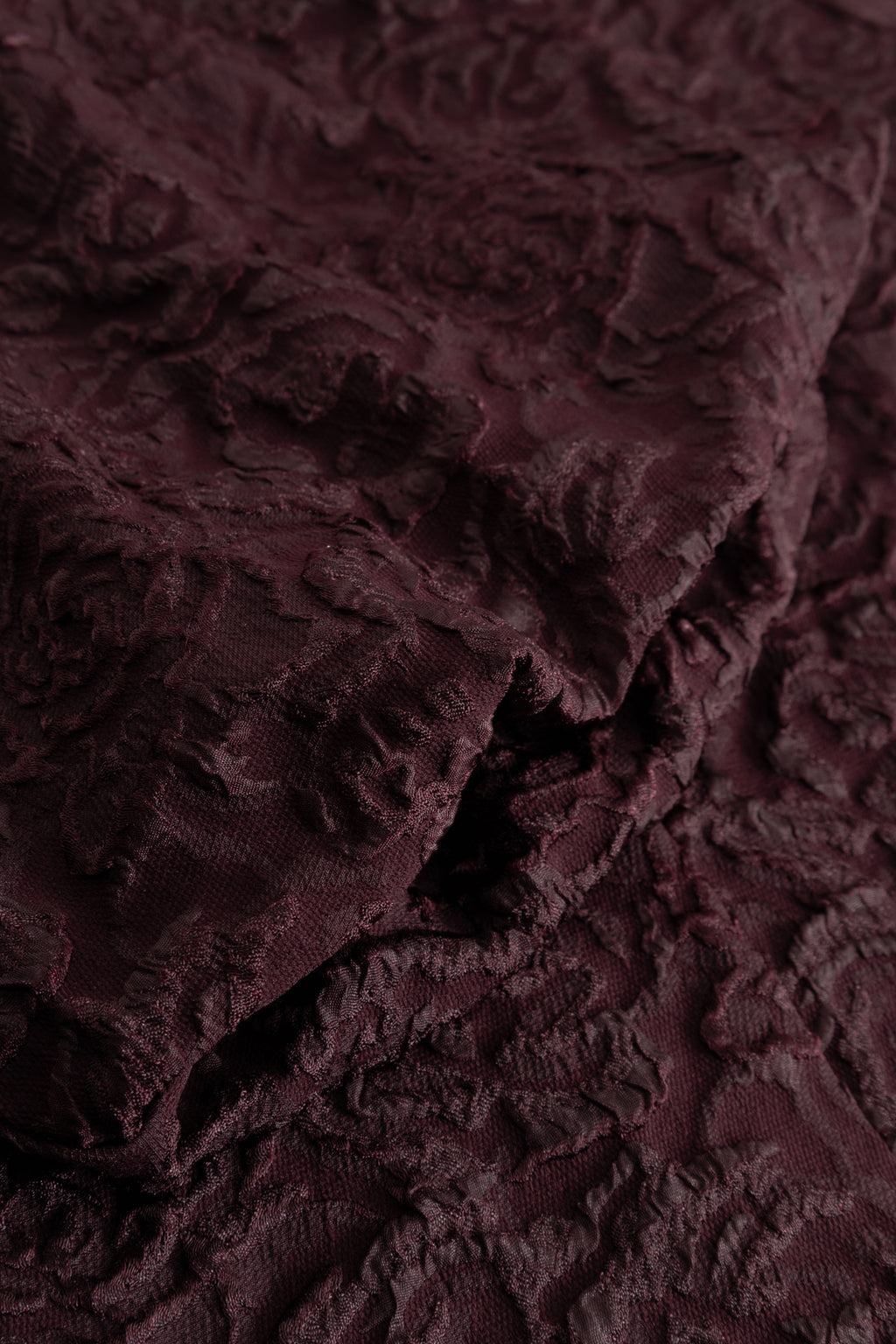 closeup