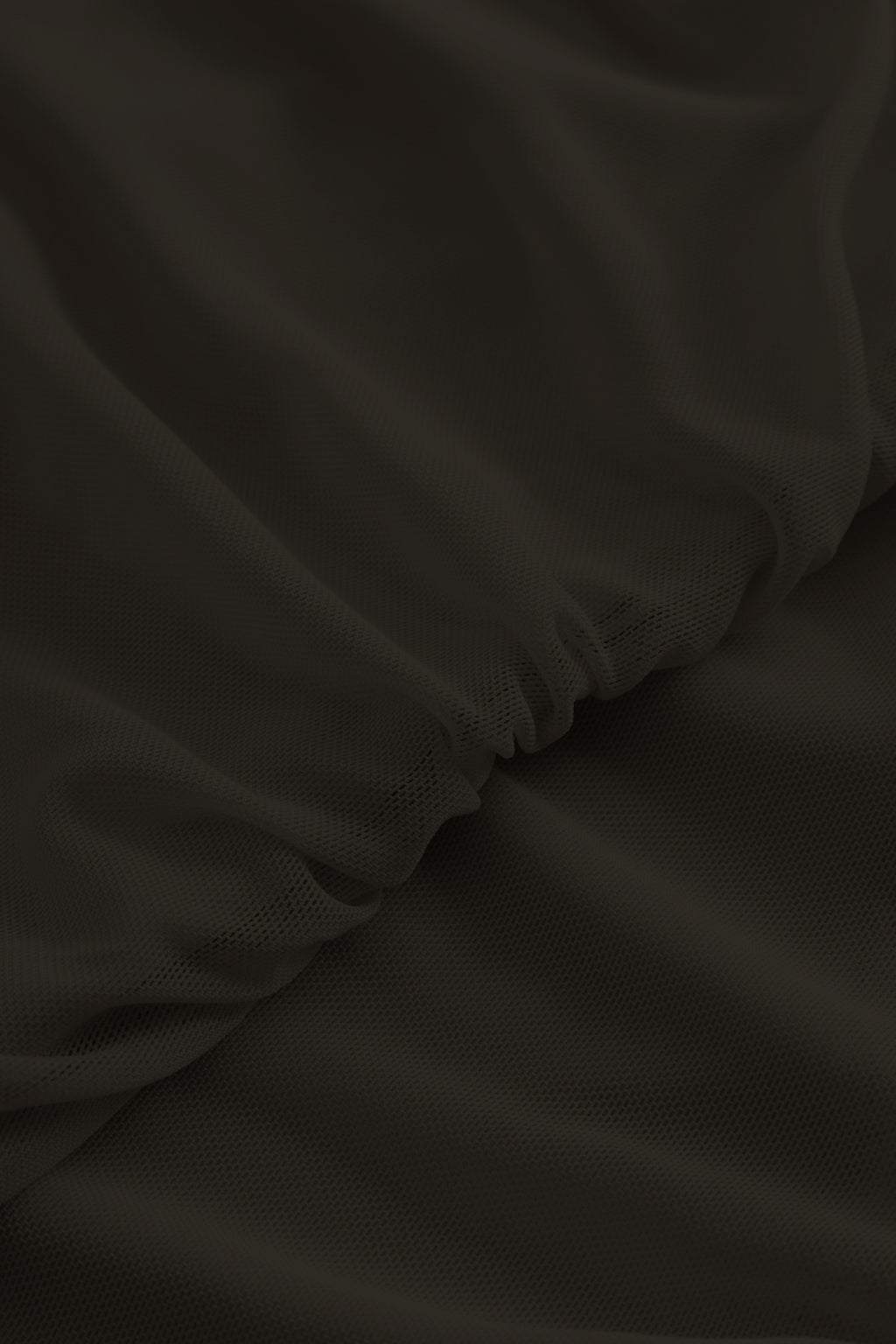closeup