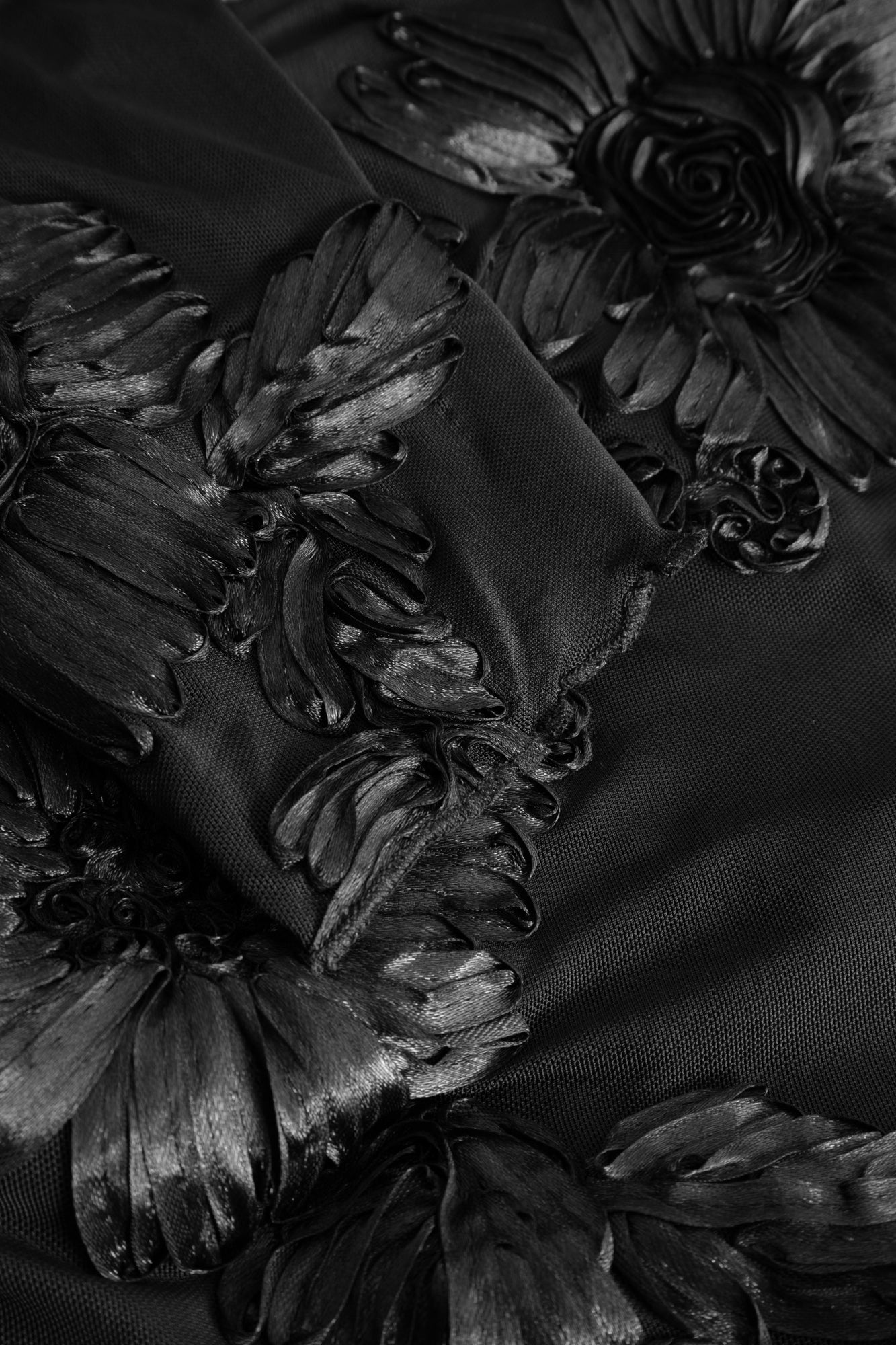 closeup