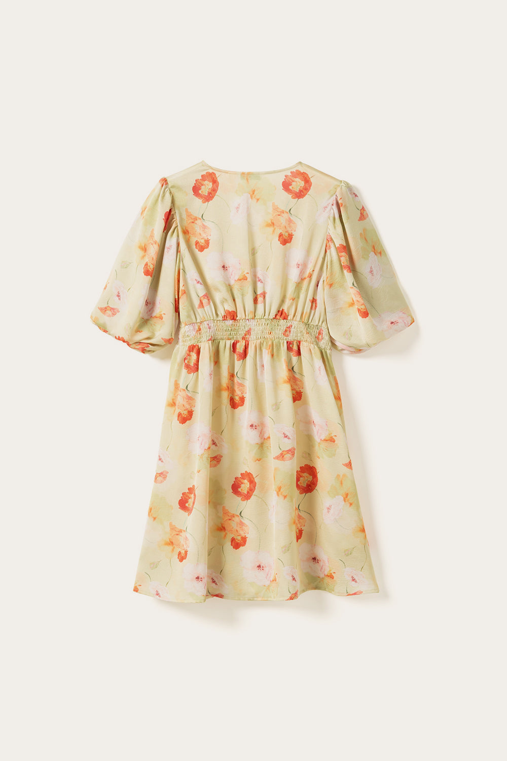 N-Lilliana Dress Delina Green Print